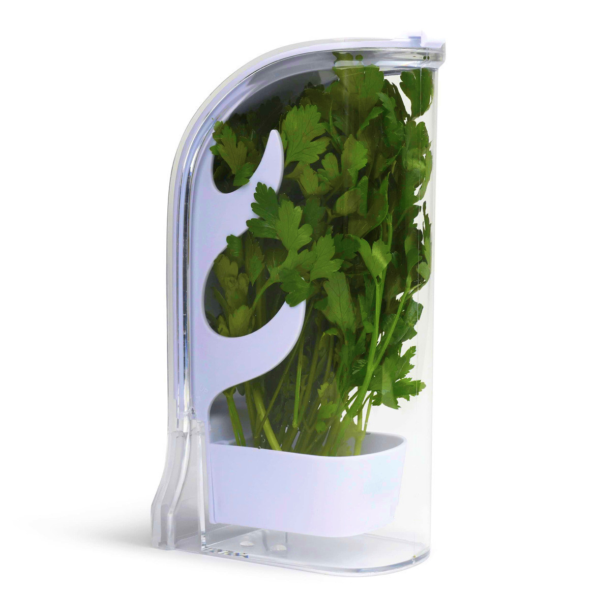 Herb Crisper Saver Container R - Kitchen Gadgets Modern 리뷰 및 가격