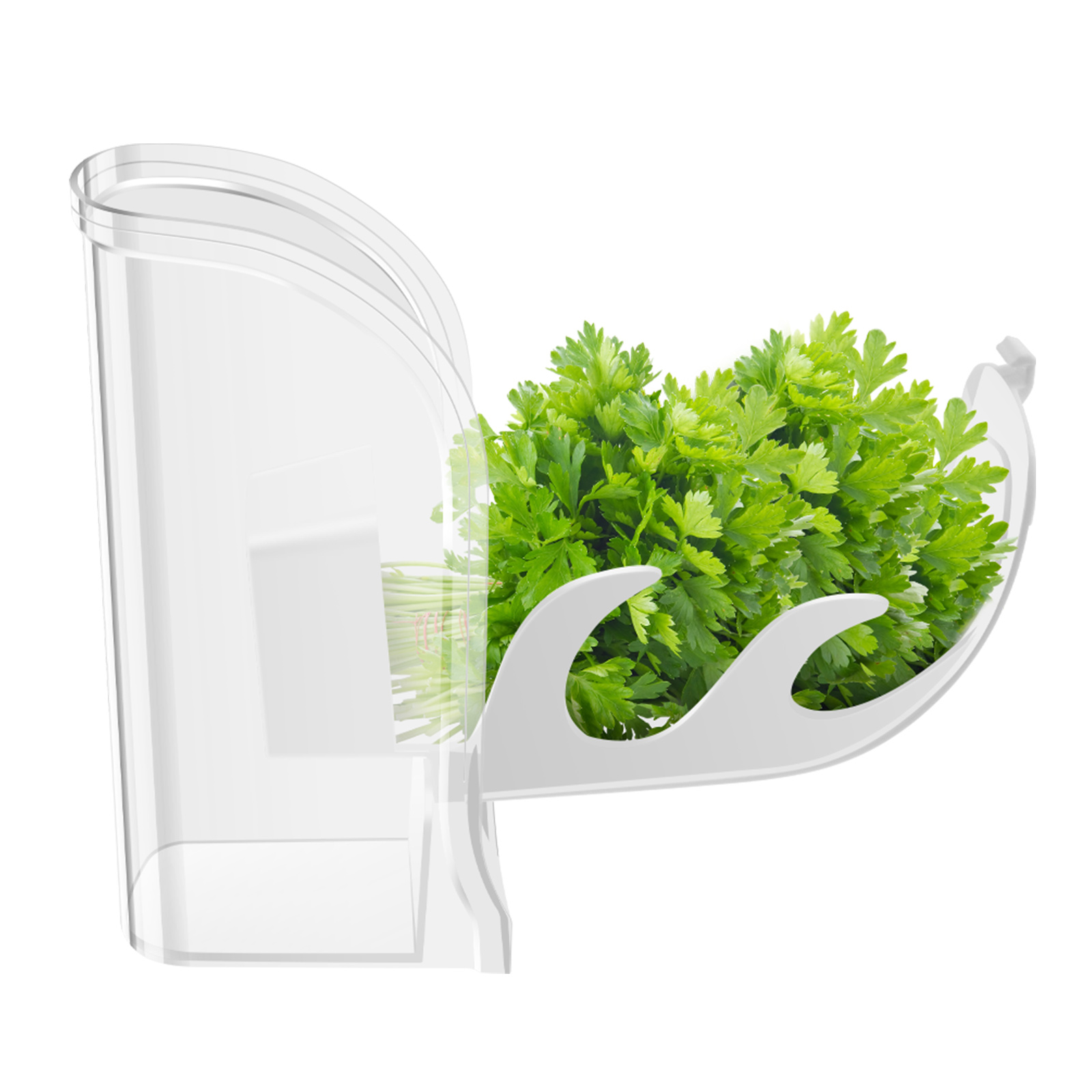 Herb Crisper Saver Container R - Kitchen Gadgets Modern 리뷰 및 가격