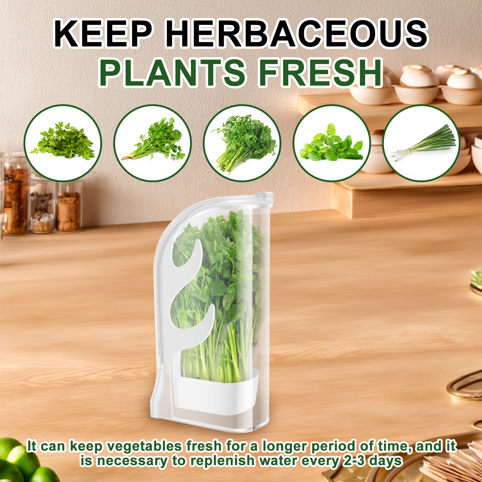Herb Crisper Saver Container R - Kitchen Gadgets Modern 리뷰 및 가격